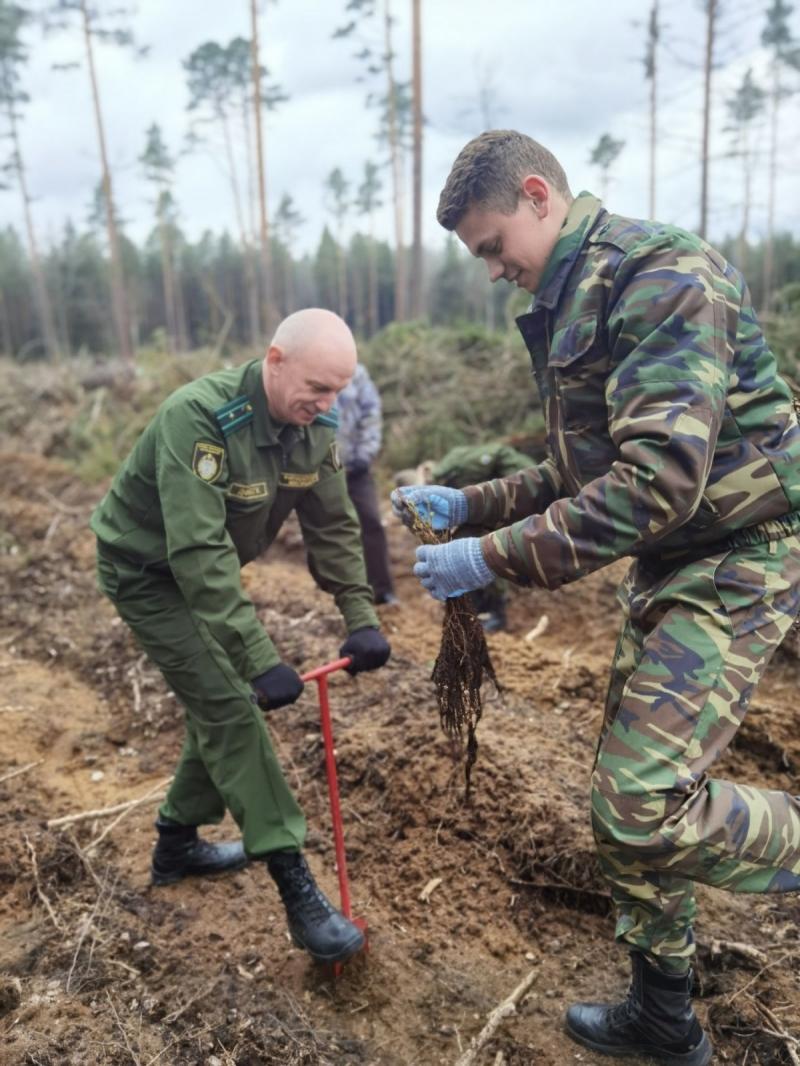 В Слониме стартовала «Неделя леса»