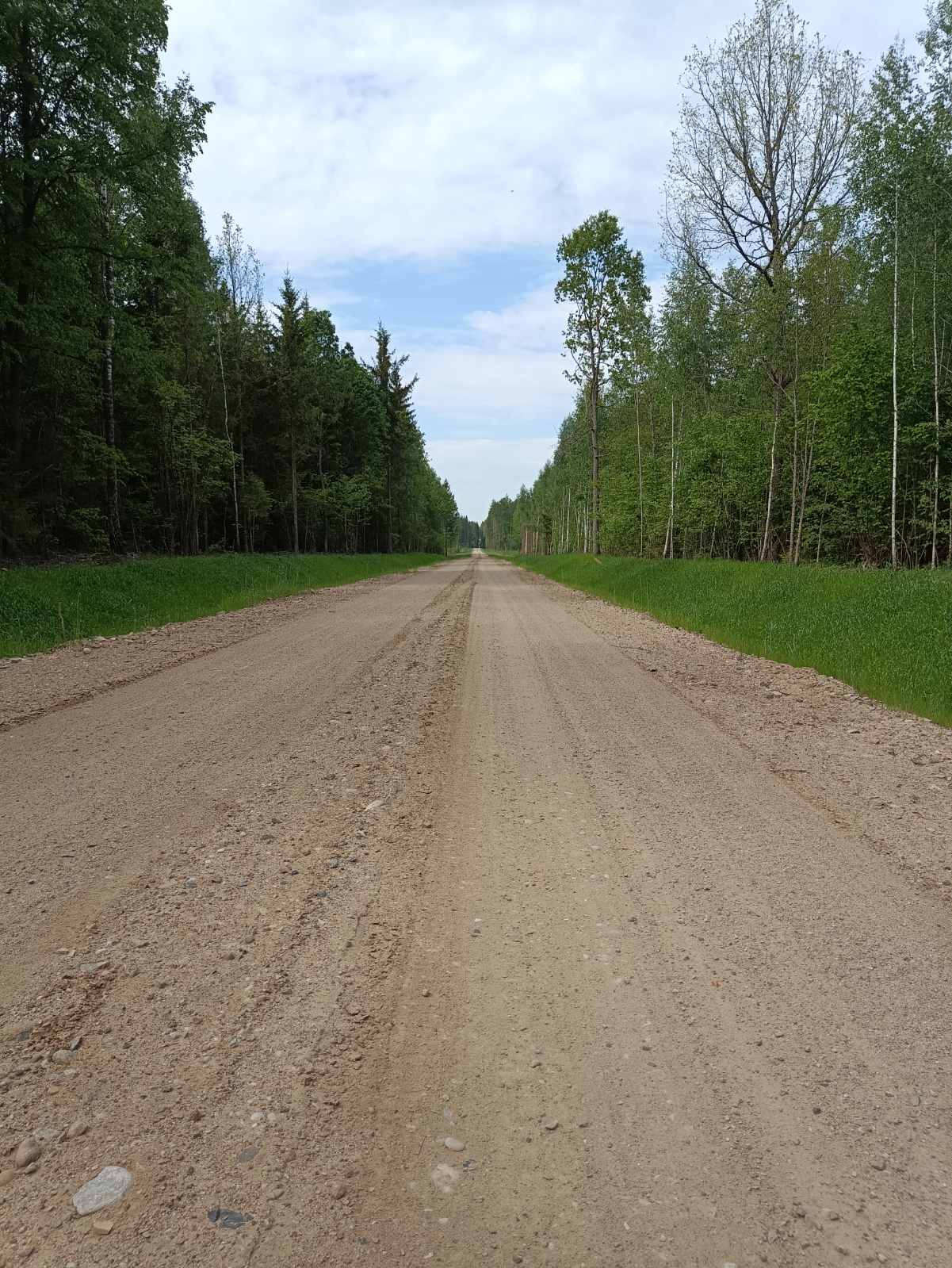 Восстановление лесных дорог.