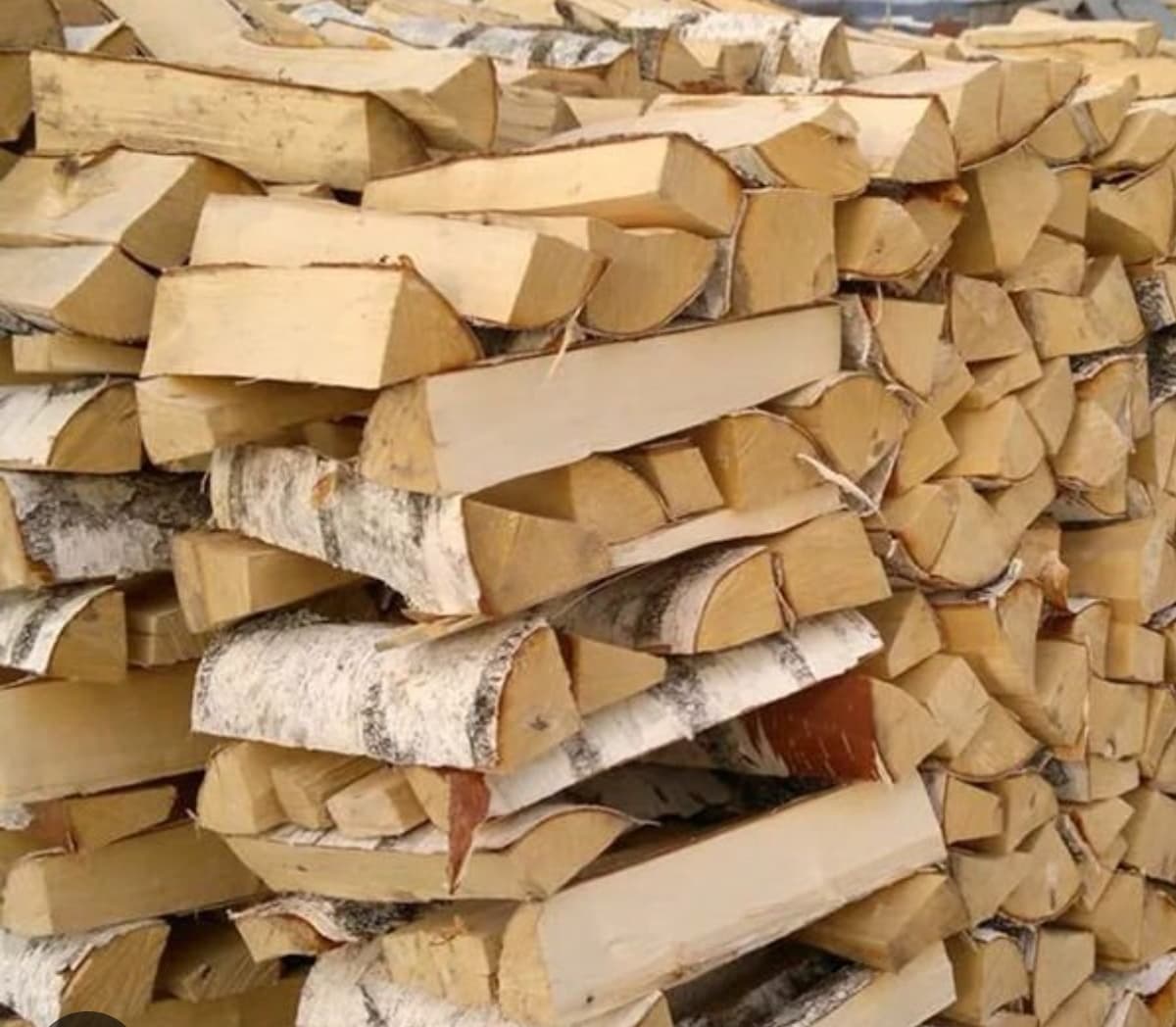 Как юридическим лицам и индивидуальным предпринимателям приобрести дрова у лесхозов?
