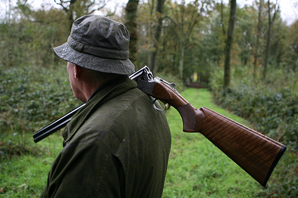 Правила охоты остаются прежними - Минлесхоз