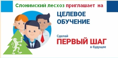 Целевое обучение