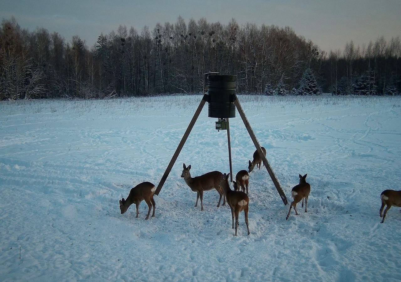 Забота о животных в суровые зимние месяцы!