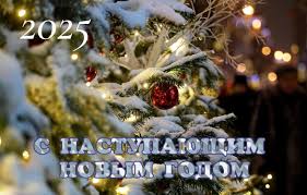 Поздравление директора Слонимского лесхоза Ильи Видука с Новым годом и Рождеством