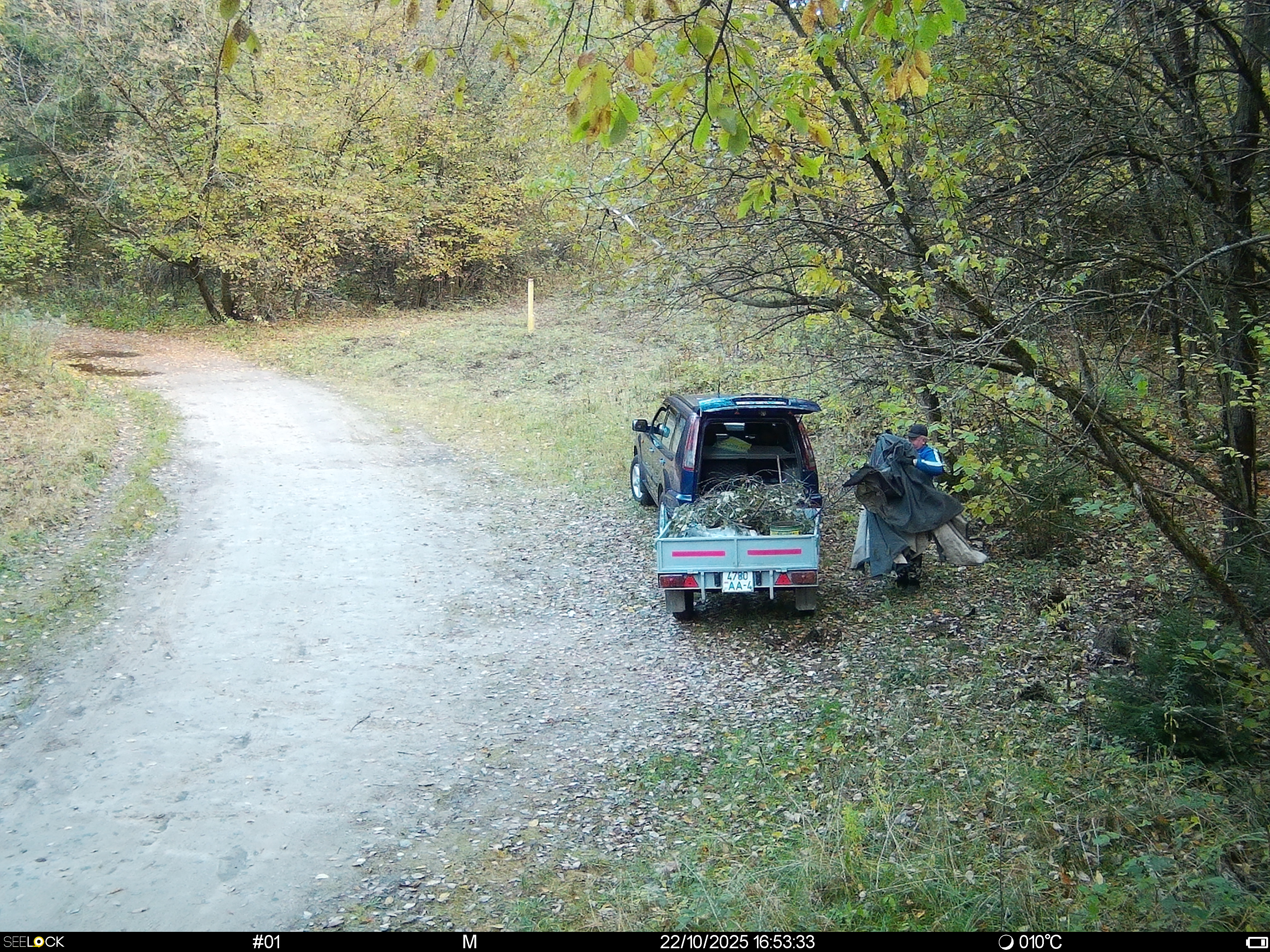 Камера сработала