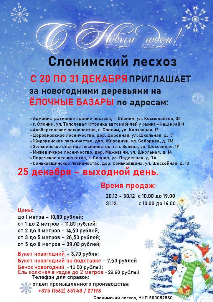 Слонимский лесхоз приглашает на елочные базары