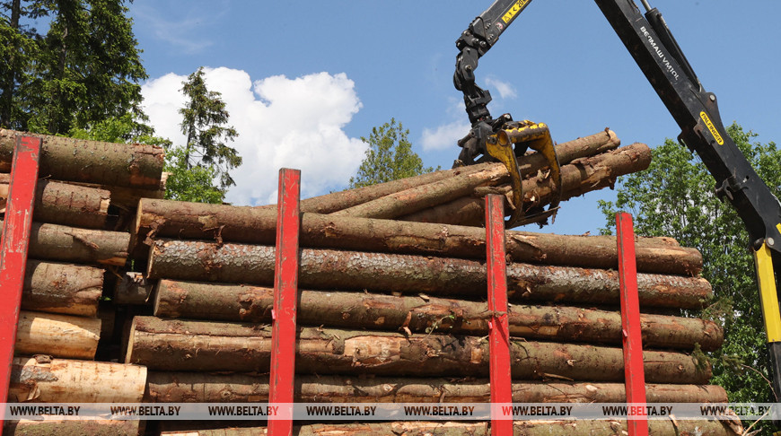 Минлесхоз предлагает обсудить вопросы транспортировки древесины