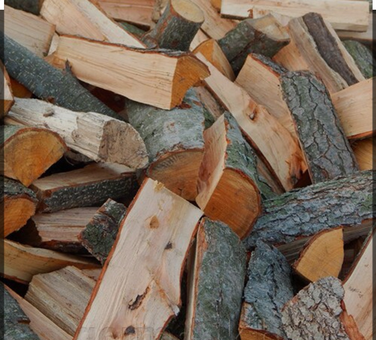 За колотыми дровами – в лесхоз
