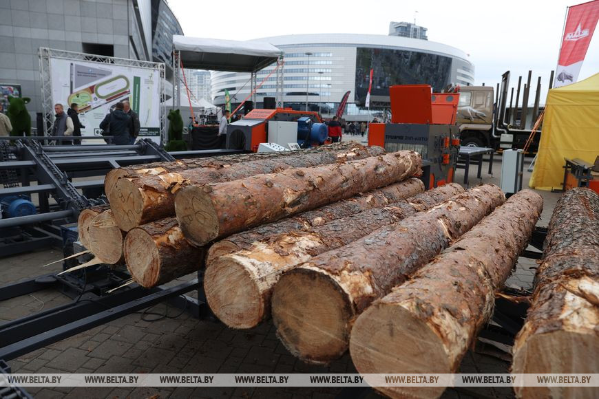 Зачем были приняты новые правила реализации древесины, рассказали в Минлесхозе