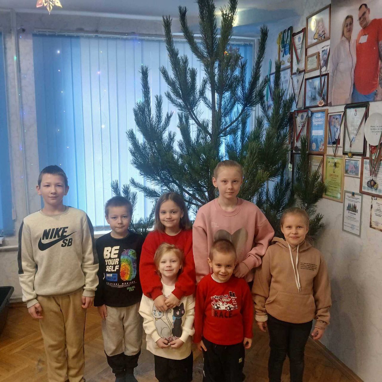 Почти тысяча новогодних деревьев – в подарок. Минлесхоз подвел итоги благотворительной акции