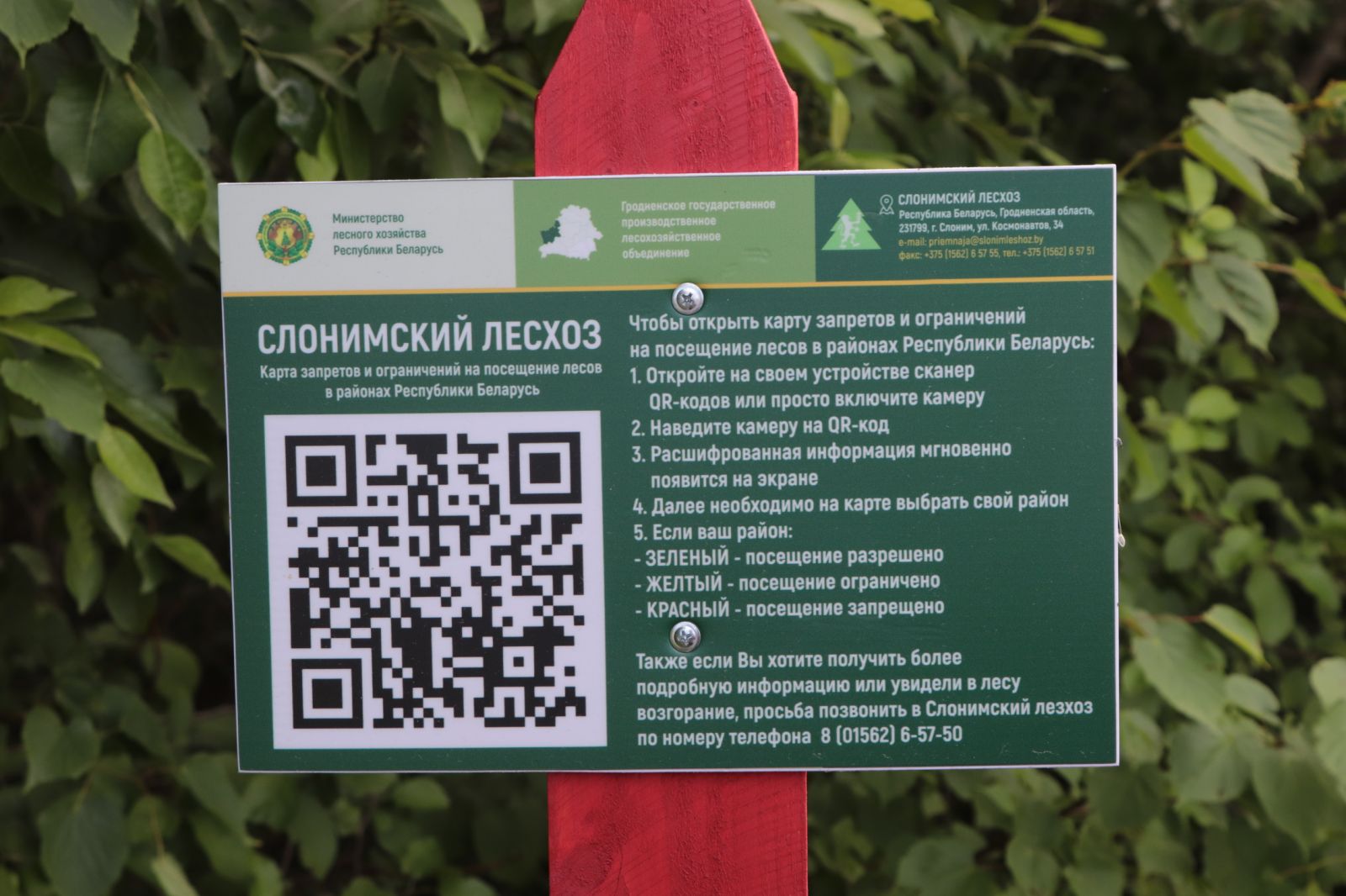 Слонимский лесхоз внедрил нововведение в работе с населением 